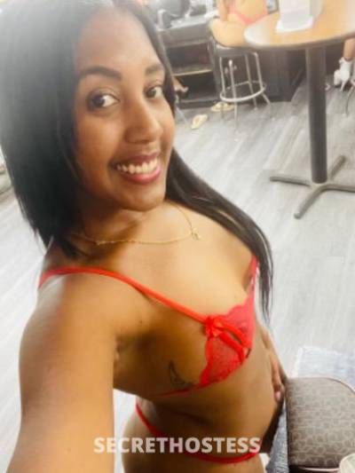 25Yrs Old Escort Dallas TX Image - 0