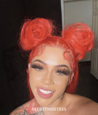 21 year old Escort in Sarasota / Bradenton FL 24/7