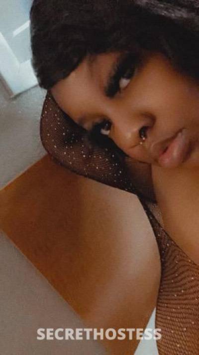 Dior 23Yrs Old Escort Dallas TX Image - 2