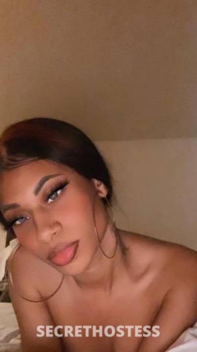 22Yrs Old Escort Los Angeles CA Image - 1