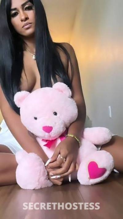 27 year old Latino Escort in West Palm Beach FL latina
