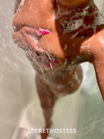 Cindy 24Yrs Old Escort Fresno CA Image - 7