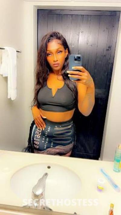 Essence 26Yrs Old Escort 167CM Tall Miami FL Image - 4