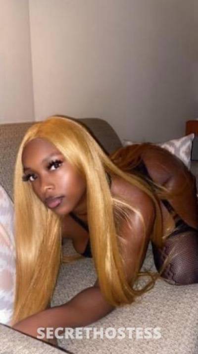 Honey 26Yrs Old Escort Minneapolis MN Image - 0