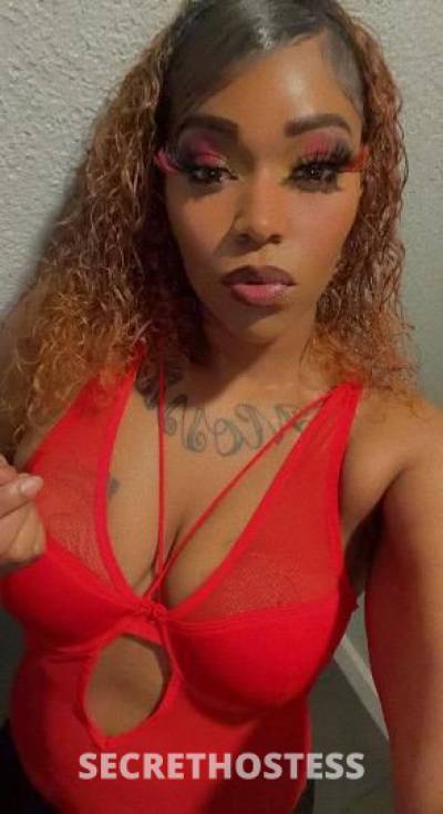 Jayda 22Yrs Old Escort Concord CA Image - 0