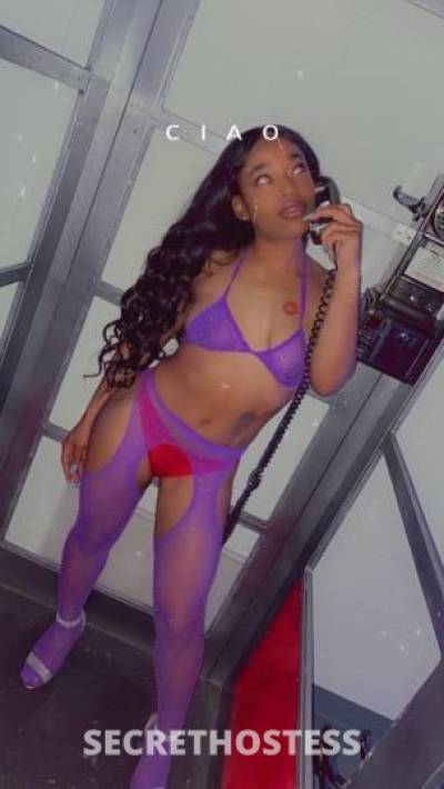 Jazzy 26Yrs Old Escort Iowa City IA Image - 0