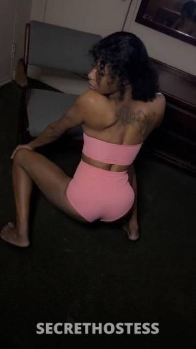 Kash 21Yrs Old Escort North Mississippi MS Image - 2