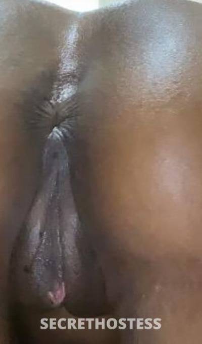 Levah 25Yrs Old Escort Oakland CA Image - 7