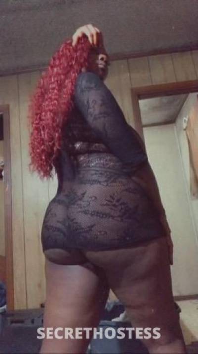 Luxury 24Yrs Old Escort North Mississippi MS Image - 3