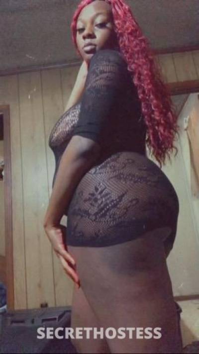 Luxury 24Yrs Old Escort North Mississippi MS Image - 4