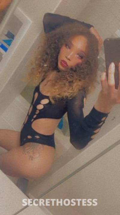 Mia 24Yrs Old Escort Minneapolis MN Image - 10