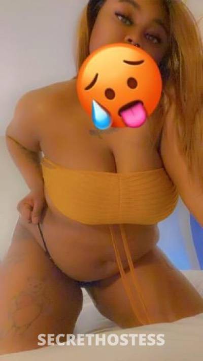 Mocha 25Yrs Old Escort Saint Louis MO Image - 1