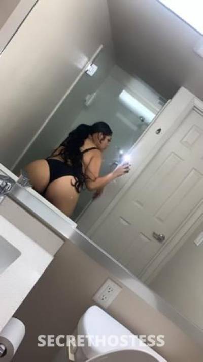 Monica 22Yrs Old Escort Worcester MA Image - 2