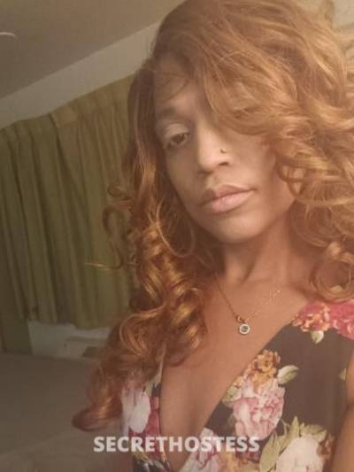 Olivia 32Yrs Old Escort Colorado Springs CO Image - 1