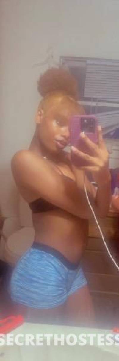 RoniBaby 21Yrs Old Escort Kokomo IN Image - 7