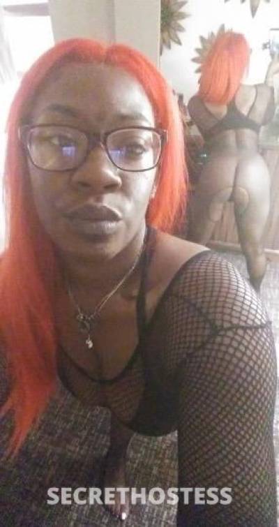 Sammie 26Yrs Old Escort Albany NY Image - 0