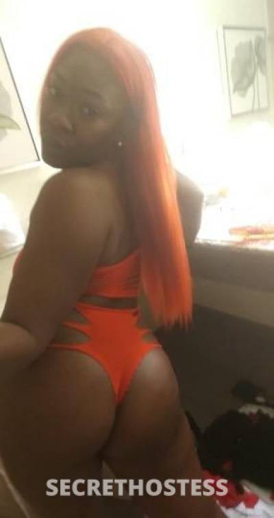 Sammie 26Yrs Old Escort Albany NY Image - 1