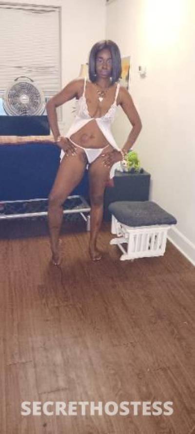 Saticfy 29Yrs Old Escort Saint Louis MO Image - 2