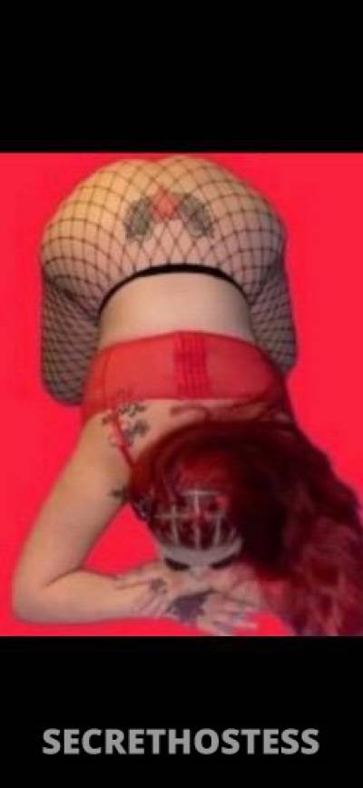 Scarlette 21Yrs Old Escort San Jose CA Image - 2