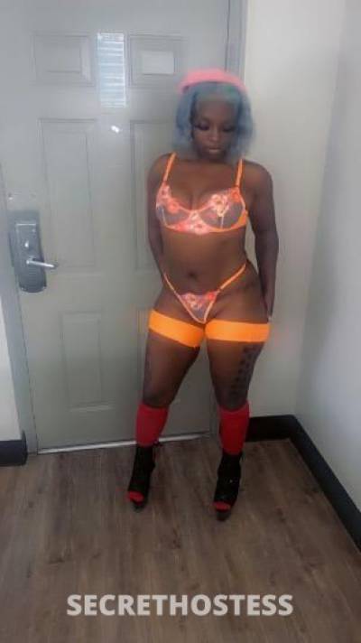 SkylarJane 24Yrs Old Escort Birmingham AL Image - 4