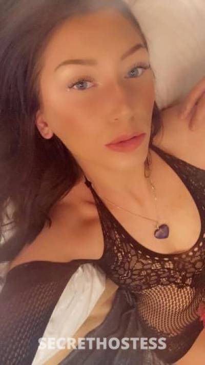 Venus 23Yrs Old Escort Monterey CA Image - 1