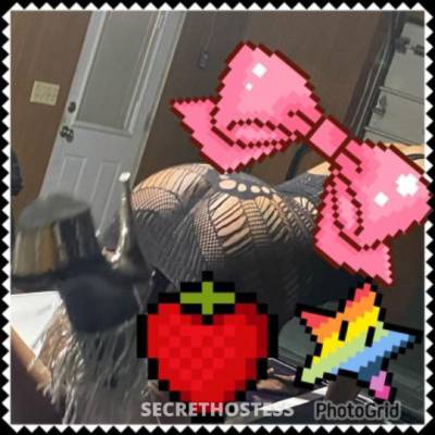 ✨😇😍Sunshine 27Yrs Old Escort Youngstown OH Image - 0