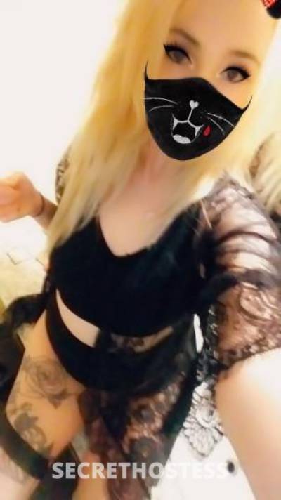 26 year old Escort in Memphis TN Your fantasy