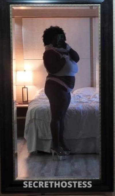 28Yrs Old Escort Bloomington IL Image - 3