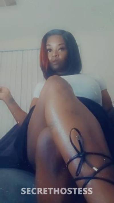 37Yrs Old Escort Cincinnati OH Image - 1