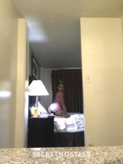 Alouis 29Yrs Old Escort Denton TX Image - 5
