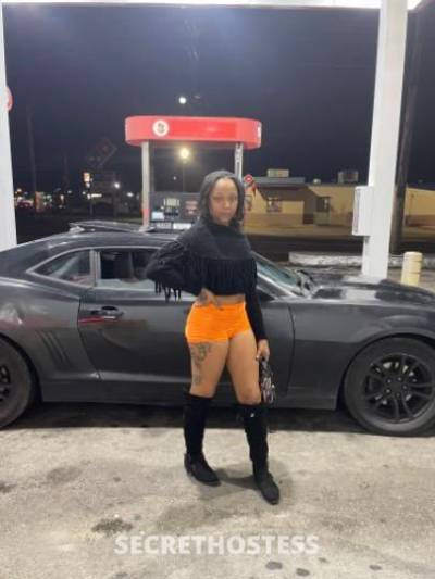 Alouis 29Yrs Old Escort Denton TX Image - 7