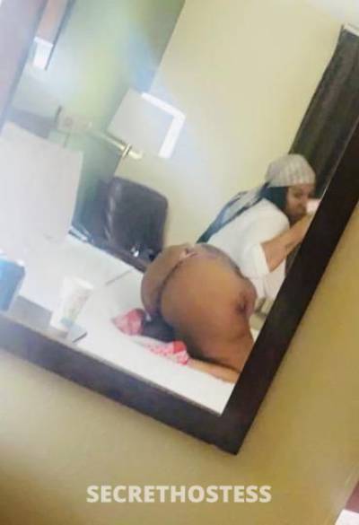 COCO💦🥥 29Yrs Old Escort Raleigh NC Image - 2