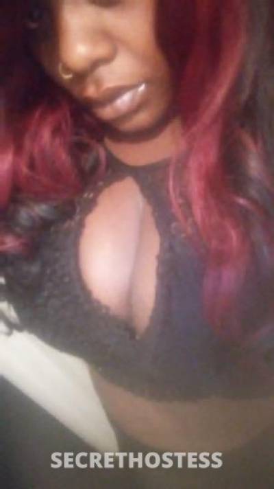 Coco 30Yrs Old Escort Altoona PA Image - 1