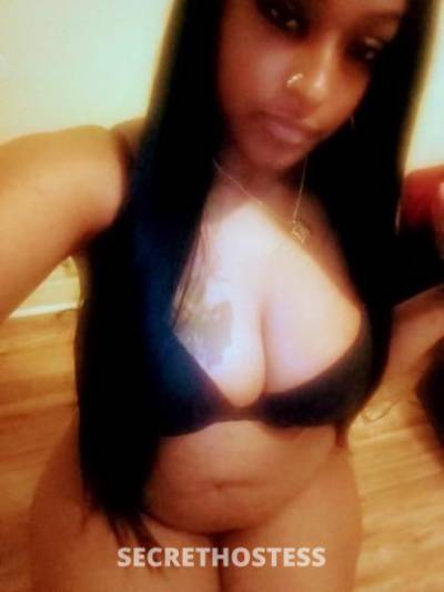 Damaris 25Yrs Old Escort Albany NY Image - 3