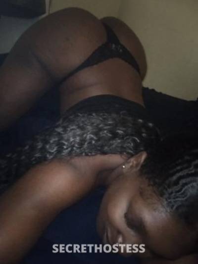 Dulce 28Yrs Old Escort Columbus OH Image - 0