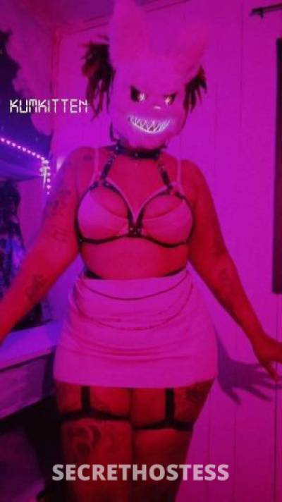 FluffyKumKitten 29Yrs Old Escort Houston TX Image - 2