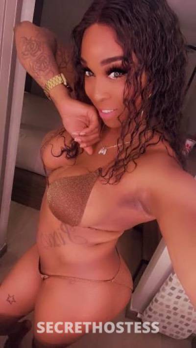 Judy 27Yrs Old Escort Wilmington NC Image - 2