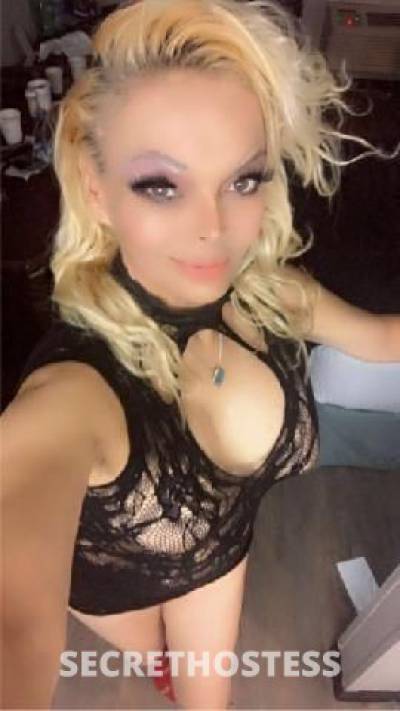 35 year old Escort in Seattle WA busty blonde bombshell. the blonde next door