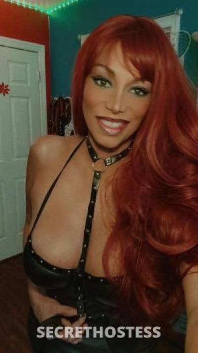 Sofie 46Yrs Old Escort Long Island NY Image - 5