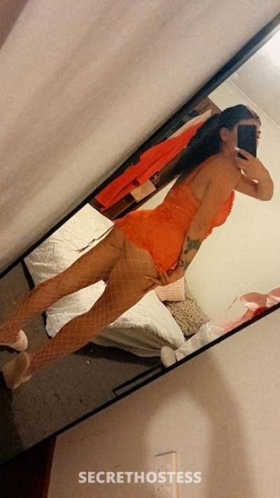 26Yrs Old Escort Wollongong Image - 2