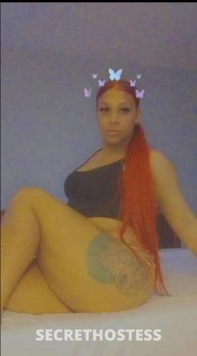 27Yrs Old Escort Chicago IL Image - 3