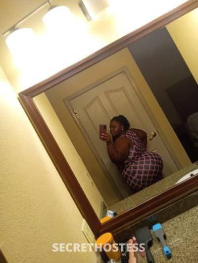 Amiya 24Yrs Old Escort Santa Maria CA Image - 7