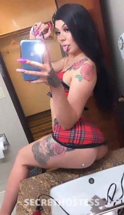 Aysia 23Yrs Old Escort Chico CA Image - 4