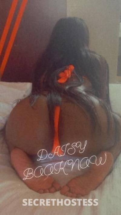 Daisy 27Yrs Old Escort Sedona AZ Image - 4