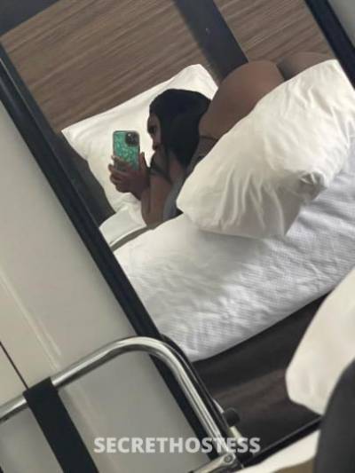 Juiicy 25Yrs Old Escort Tampa FL Image - 4