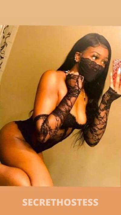 Robynn 25Yrs Old Escort Jacksonville FL Image - 6