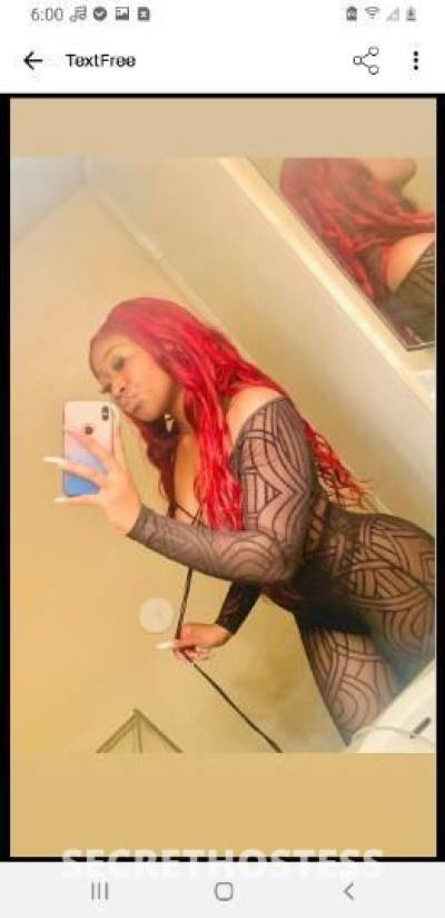 Robynn 25Yrs Old Escort Jacksonville FL Image - 8