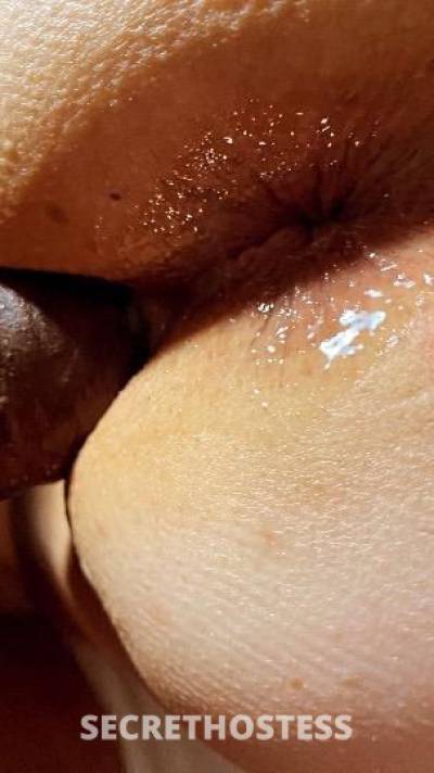 27 year old Escort in Gainesville FL ⚠your now entering ⛔ the splash ? zone !!! cocks ? 