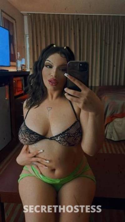 Sophie 23Yrs Old Escort Stockton CA Image - 2