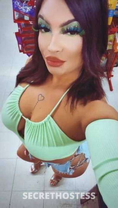 Sophie 23Yrs Old Escort Stockton CA Image - 3